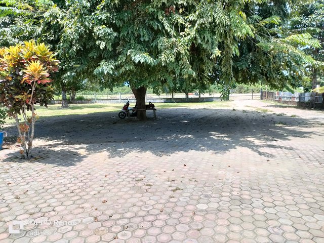 IMG20250917131955.jpg