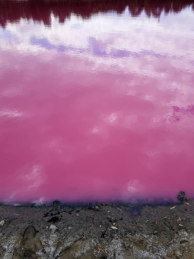 pink-lake-2.jpg