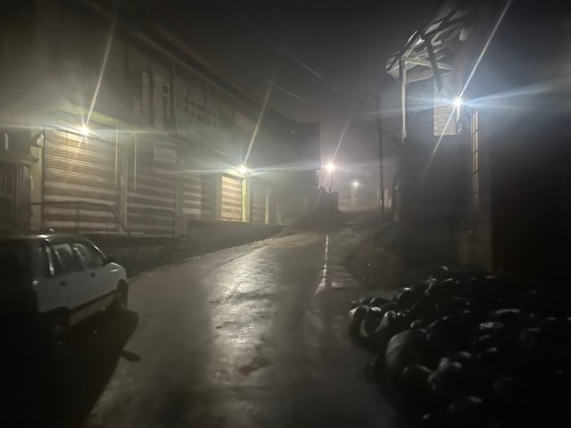 IMG_2784.jpeg