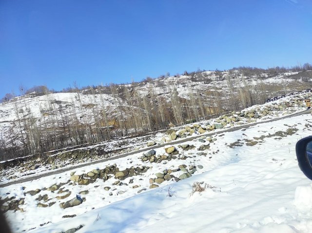 5E8BFE31-B461-4D5E-BF10-966BC0678DC3.jpeg