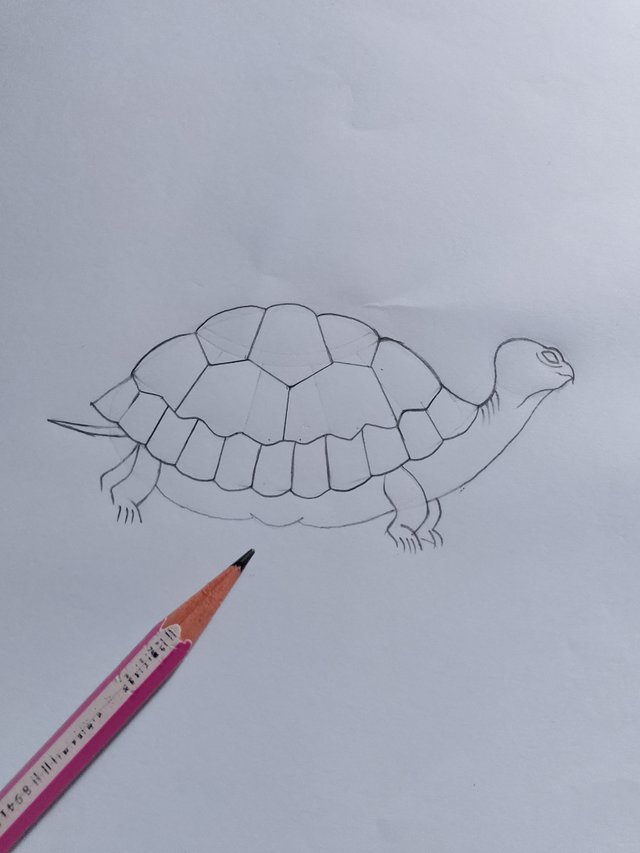 1000053265.jpg