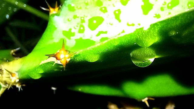 20250616_205529.jpg