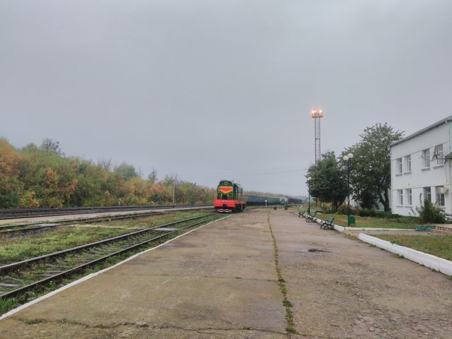 IMG_20201008_084643.jpg
