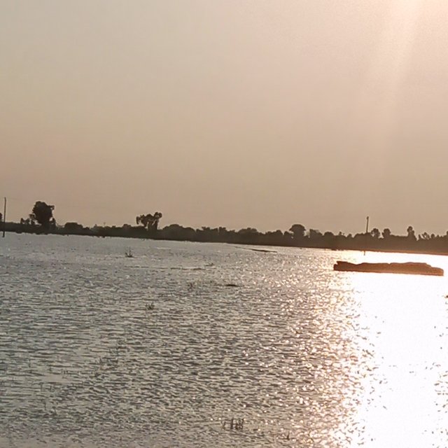 IMG_20250822_174758_100.jpg