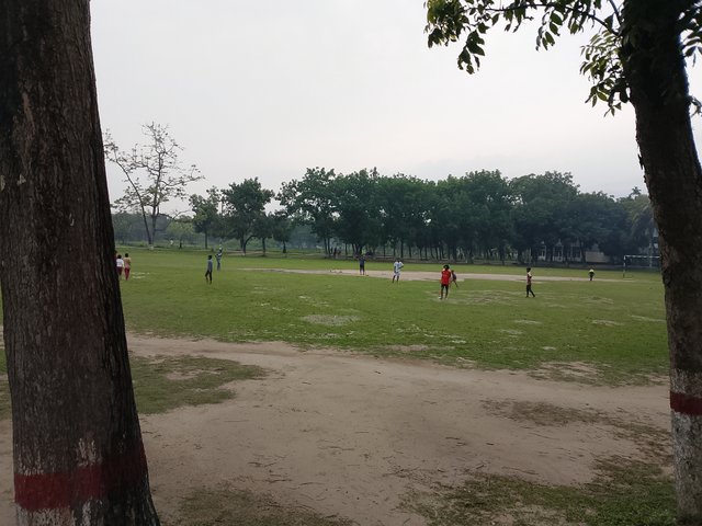 1000038367.jpg