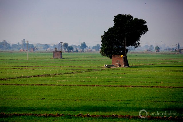 JGanter-Punjab_G3_2913.jpg