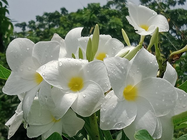 IMG20250711131720.jpg