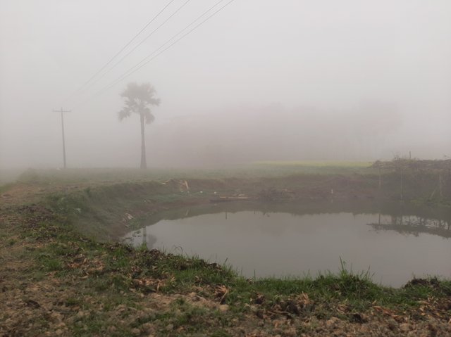 20221230_090256.jpg