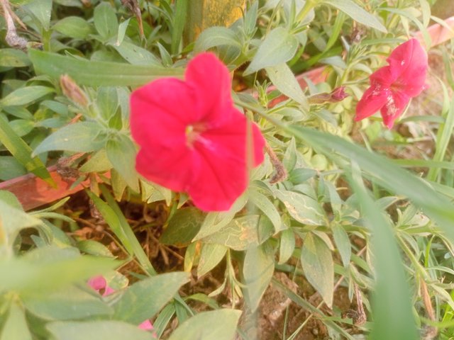 IMG20250402165244.jp
