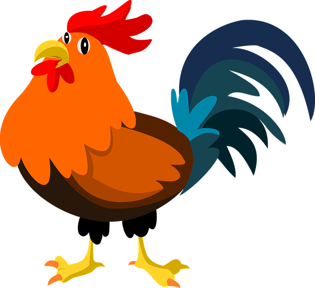 cock-6104095_640.png