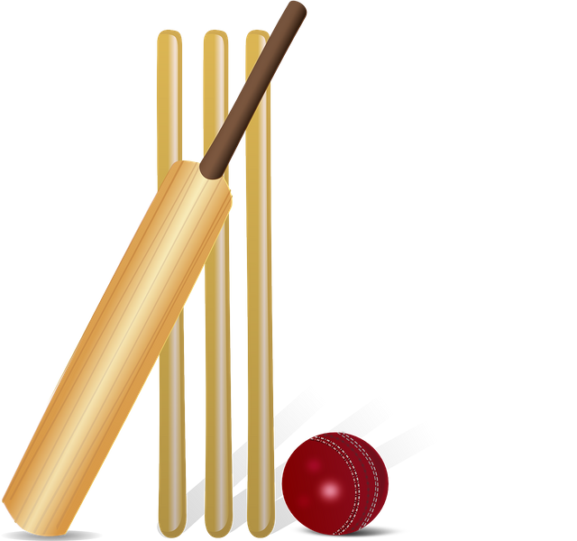 cricket-155965_1280.png