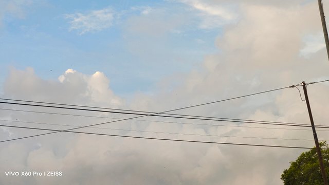 1000590370.jpg