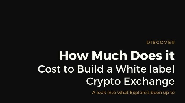 Discover How Much Does it Cost to Build a White label Crypto Exchange .jpg