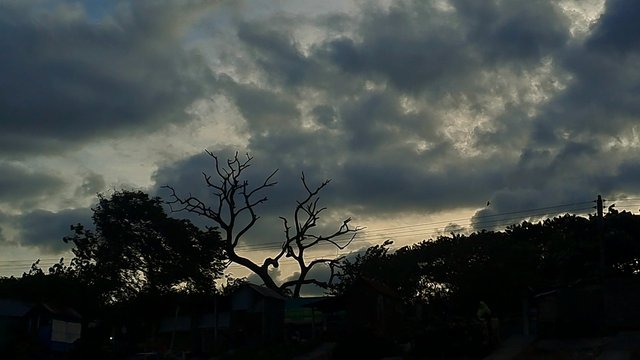 VideoCapture_2025073