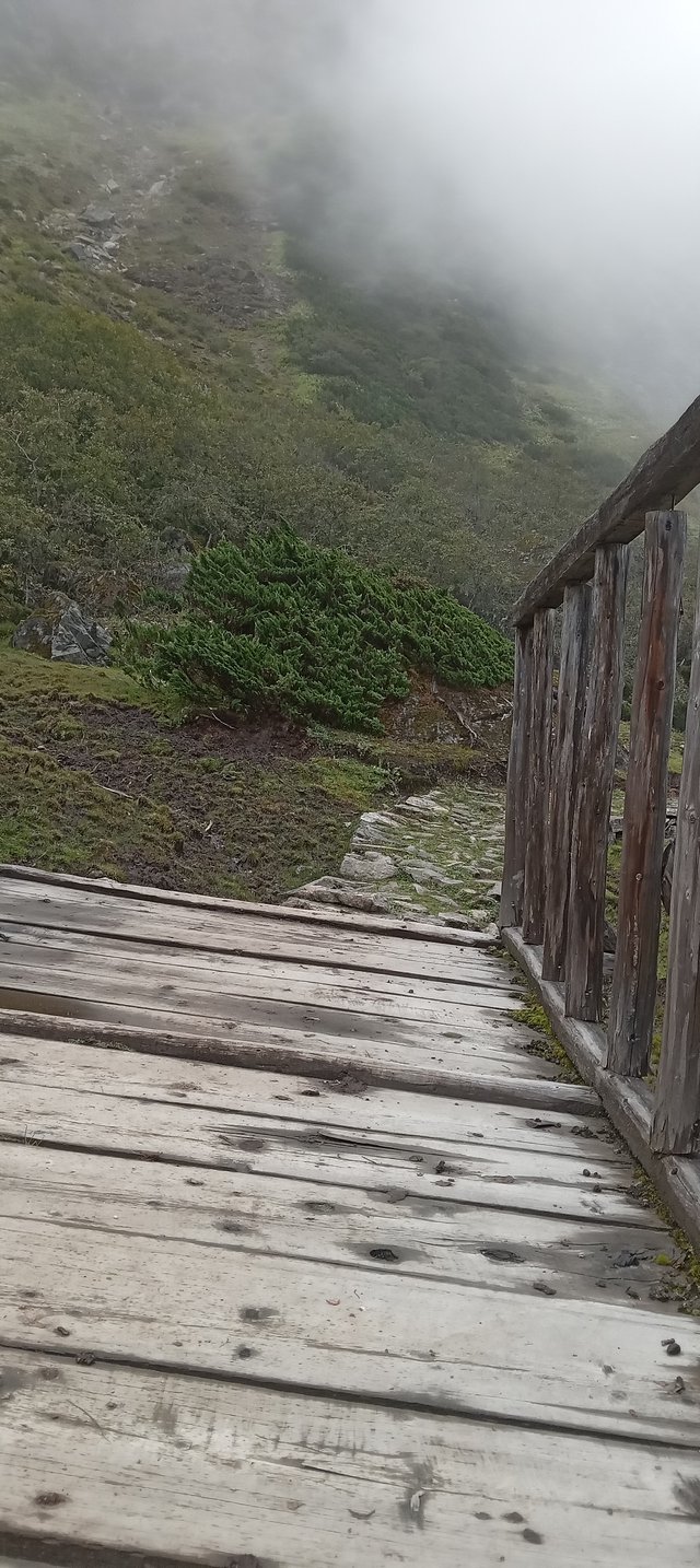 20250912_135231.jpg