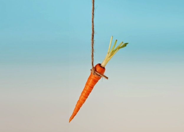 carrot-stick1.jpg