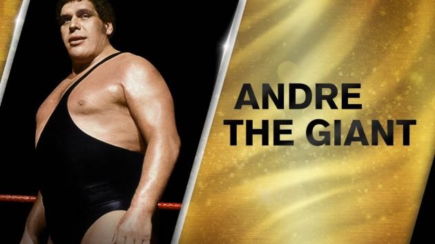 andre the giant roussimoff.jpg