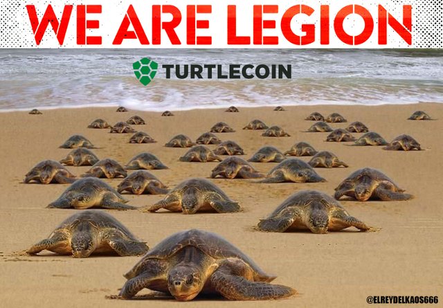 TURTLECOIN WE ARE LEGION elreydelkaos.jpg