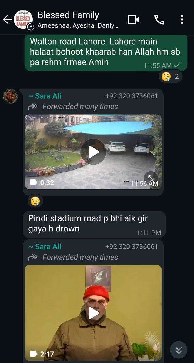 Screenshot_20250508-190210.jpg