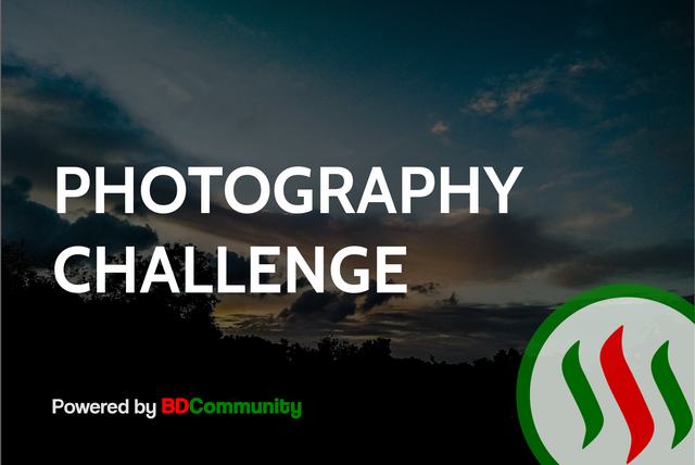 photography-contest-3.png