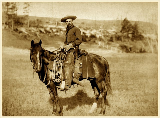 cowboy-g8cf2c264b_1920.jpg