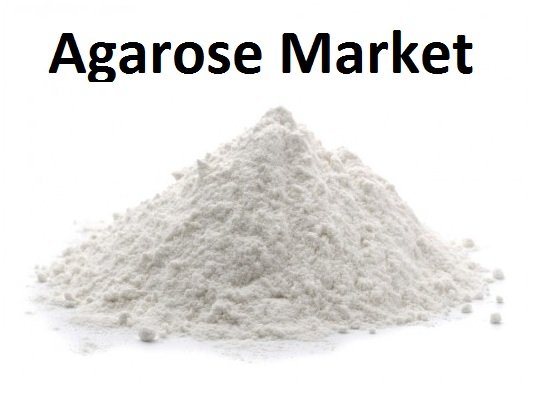 Agarose Market.jpg