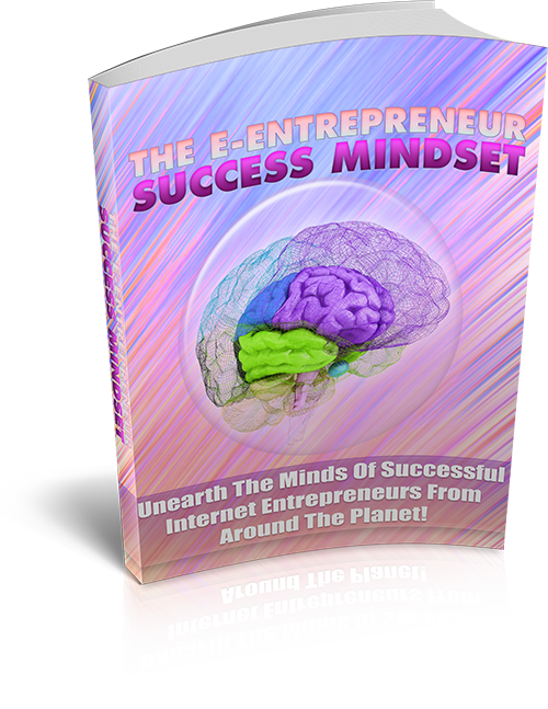 Netrepreneur Success Mindset.png
