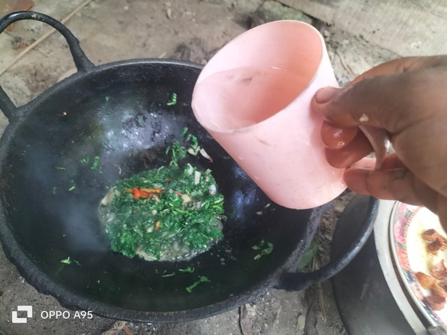 IMG20250613084856.jpg