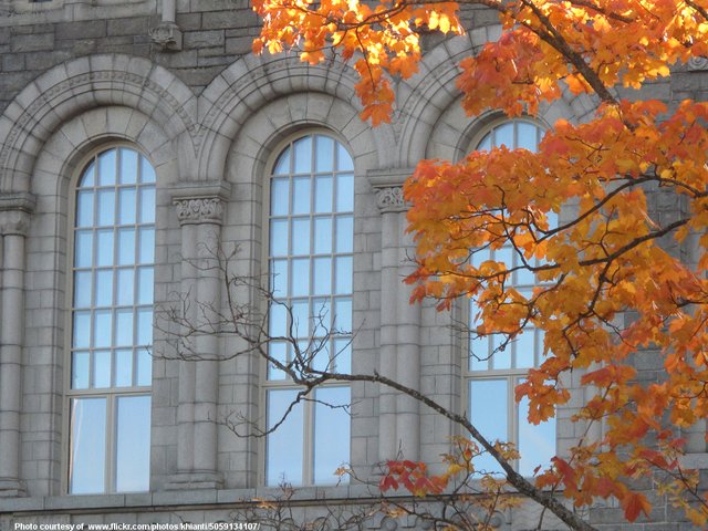 AutumnArchedWindows=--1-101518.jpg