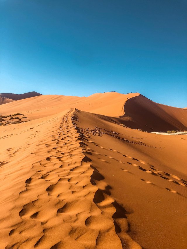 pexels-media-3714898-1749571344900.jpeg