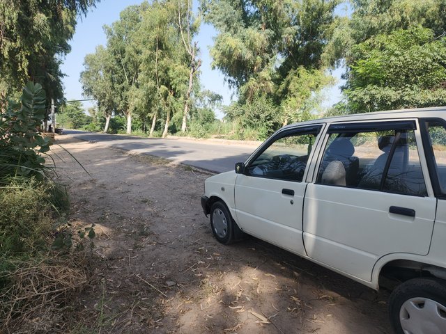 1000409147.jpg