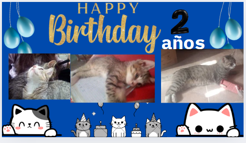2 años.PNG