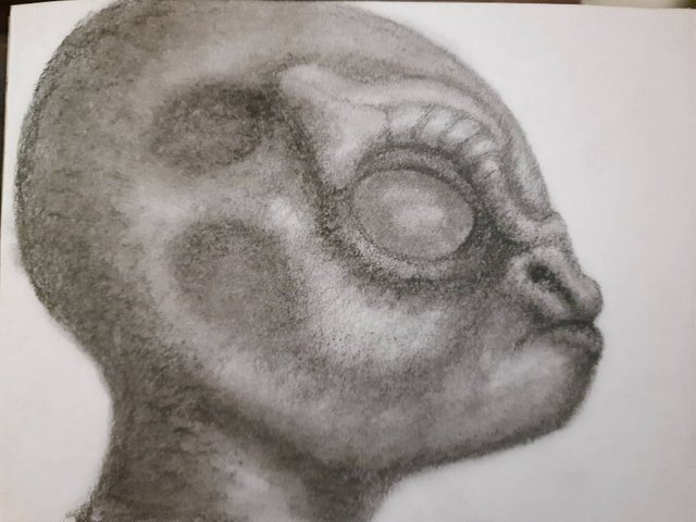 20250515_104435.jpg