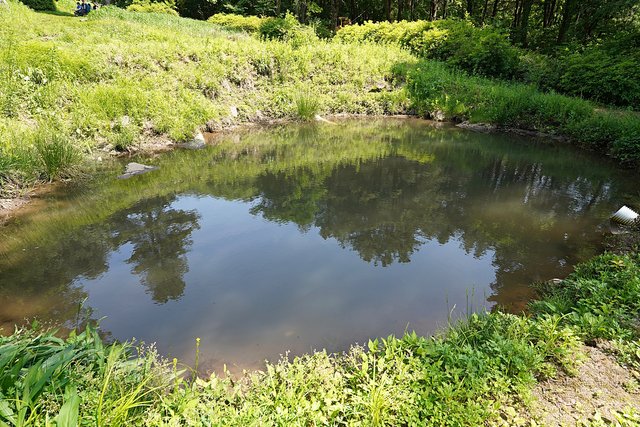 b-DSC04245.JPG