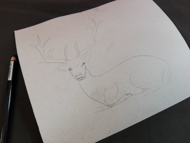 deerdrawing(2).jpg