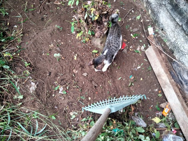 IMG20250626164730.jpg