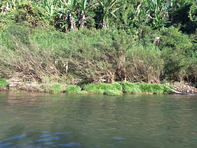 20240120_160004.jpg