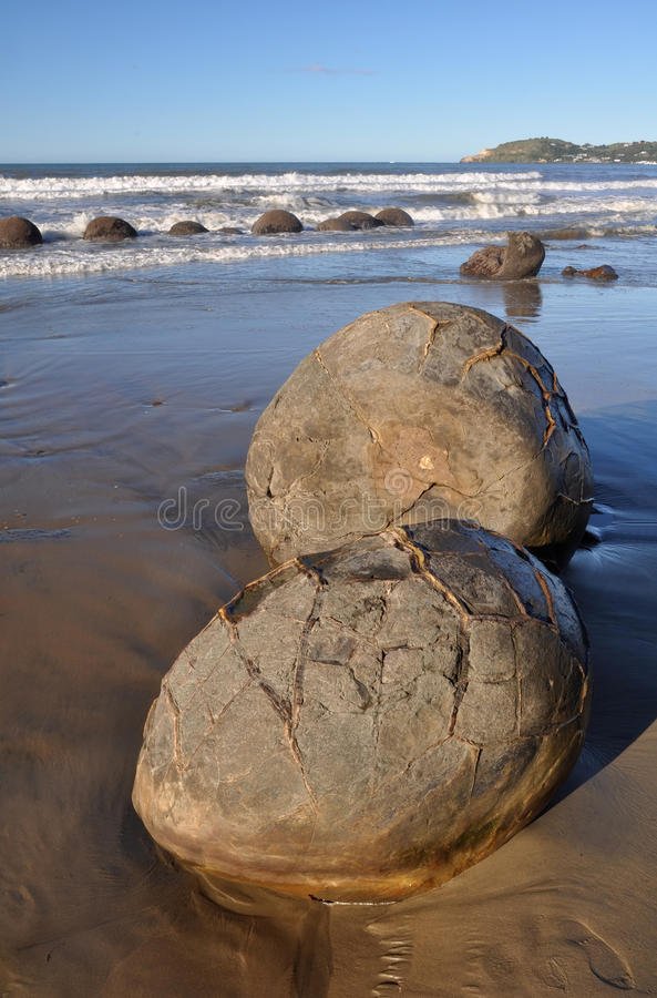 portrait-view-moeraki-boulders-new-zealand-19524287.jpg