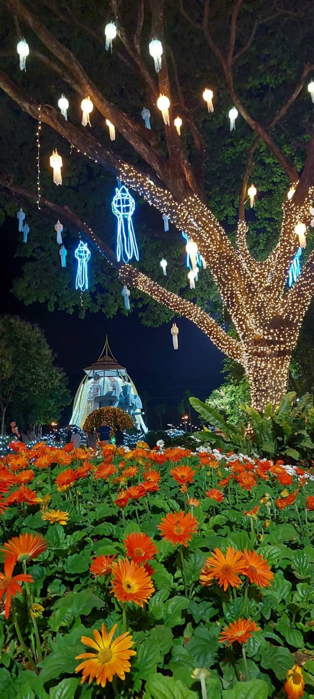 Charming Chiang Mai Flower Festival14.jpg