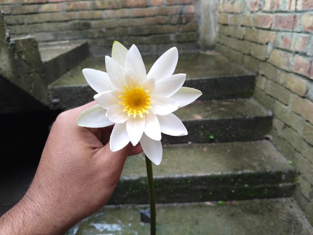 1000045541.jpg