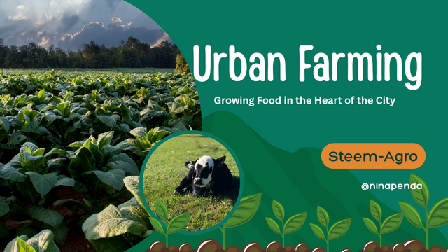 Green White and Orange Nature Illustrative Agriculture and Farming Tips You_20250816_221120_0000.png