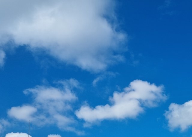 20250714_091751.jpg