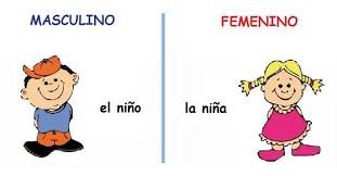 FEMENINO Y MASCULINO.jpg