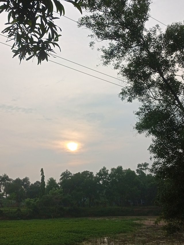 IMG20250614175745.jpg