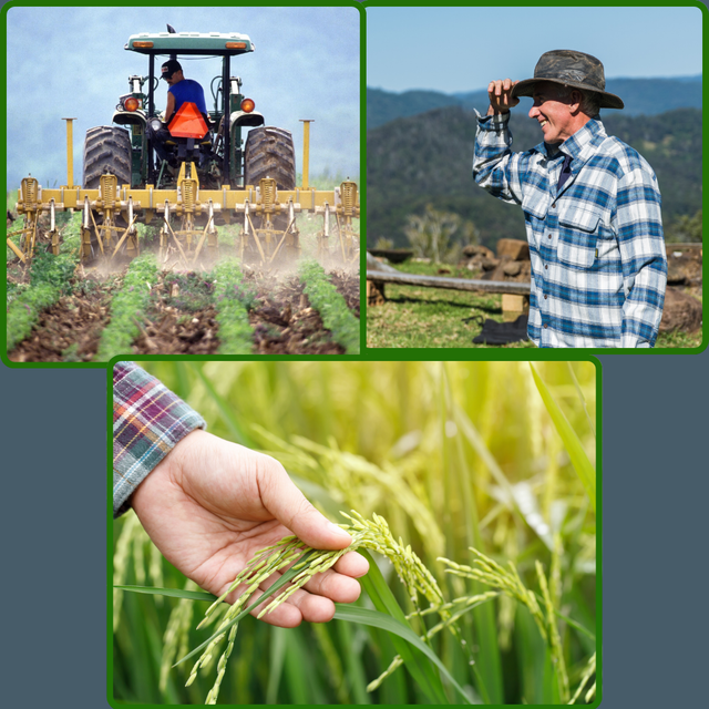 Green and Beige Minimalist Agriculture Consultant Services Instagram Post.png