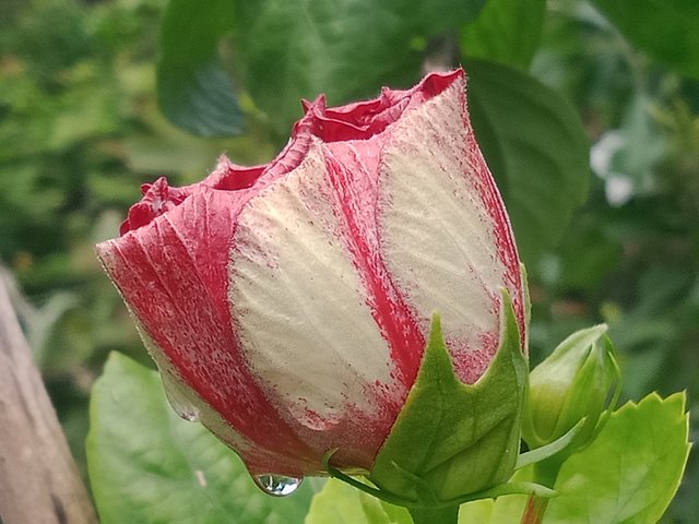 IMG20250703094431.jpg
