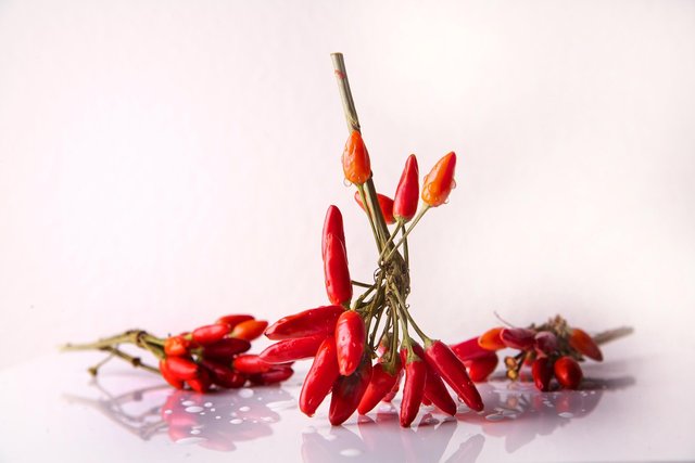 IMG_8204.jpeg
