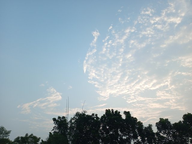 IMG_20250806_181440_613.jpg