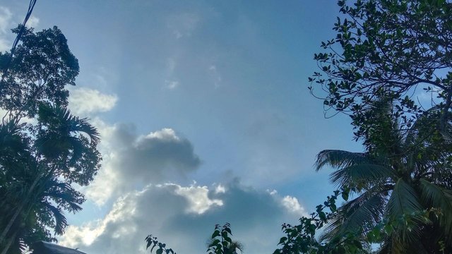 IMG_20250623_085924_476.jpg