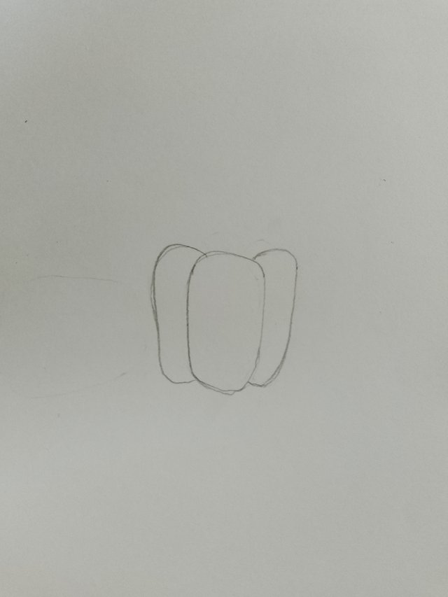 1000057053.jpg